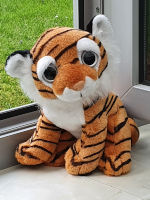 4b Tigerklasse