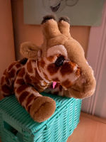3a Giraffenklasse