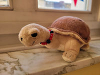 1b Schildkrötenklasse